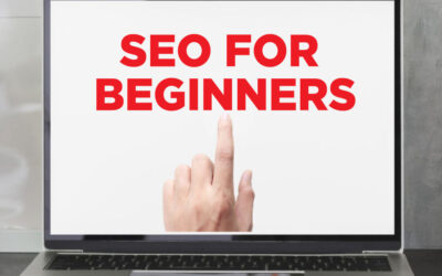 SEO for Beginners: How to Get Your Site Found